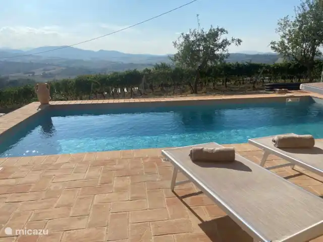 CASA 6 pers. - Casa Sette Cipressi | Italie, Marche, Serra de’ Conti  - maison de vacances De beaux vrais transats italiens avec un auvent pour votre visage.