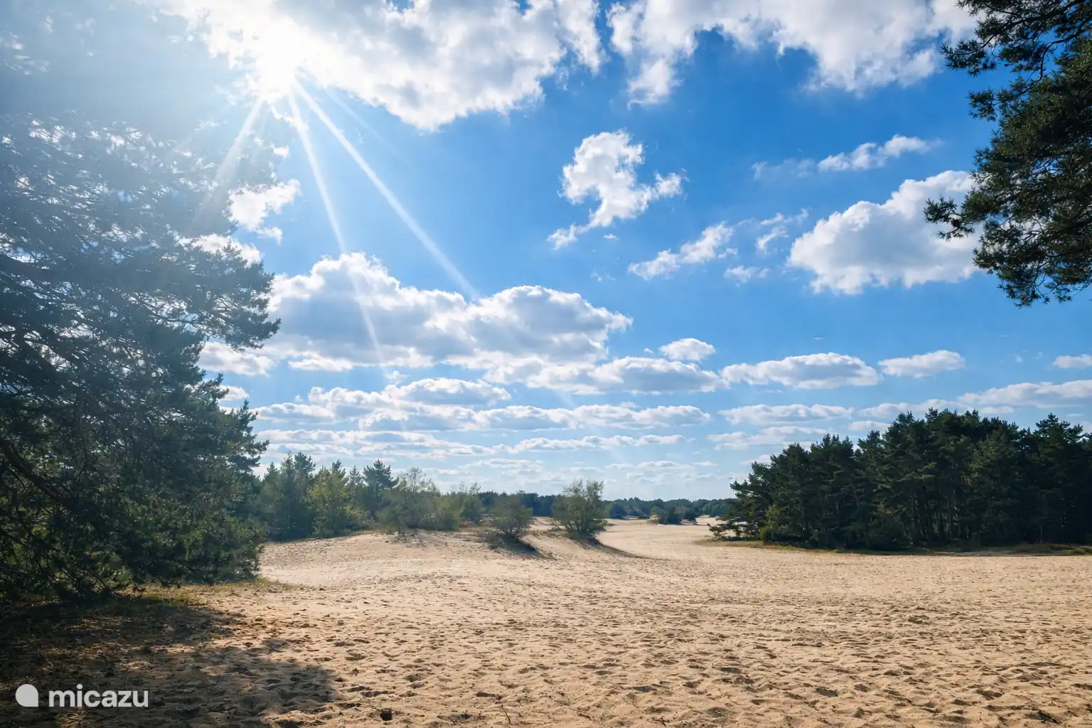 Sand Drift de Haere liegt in Laufnähe hinter dem Cottage