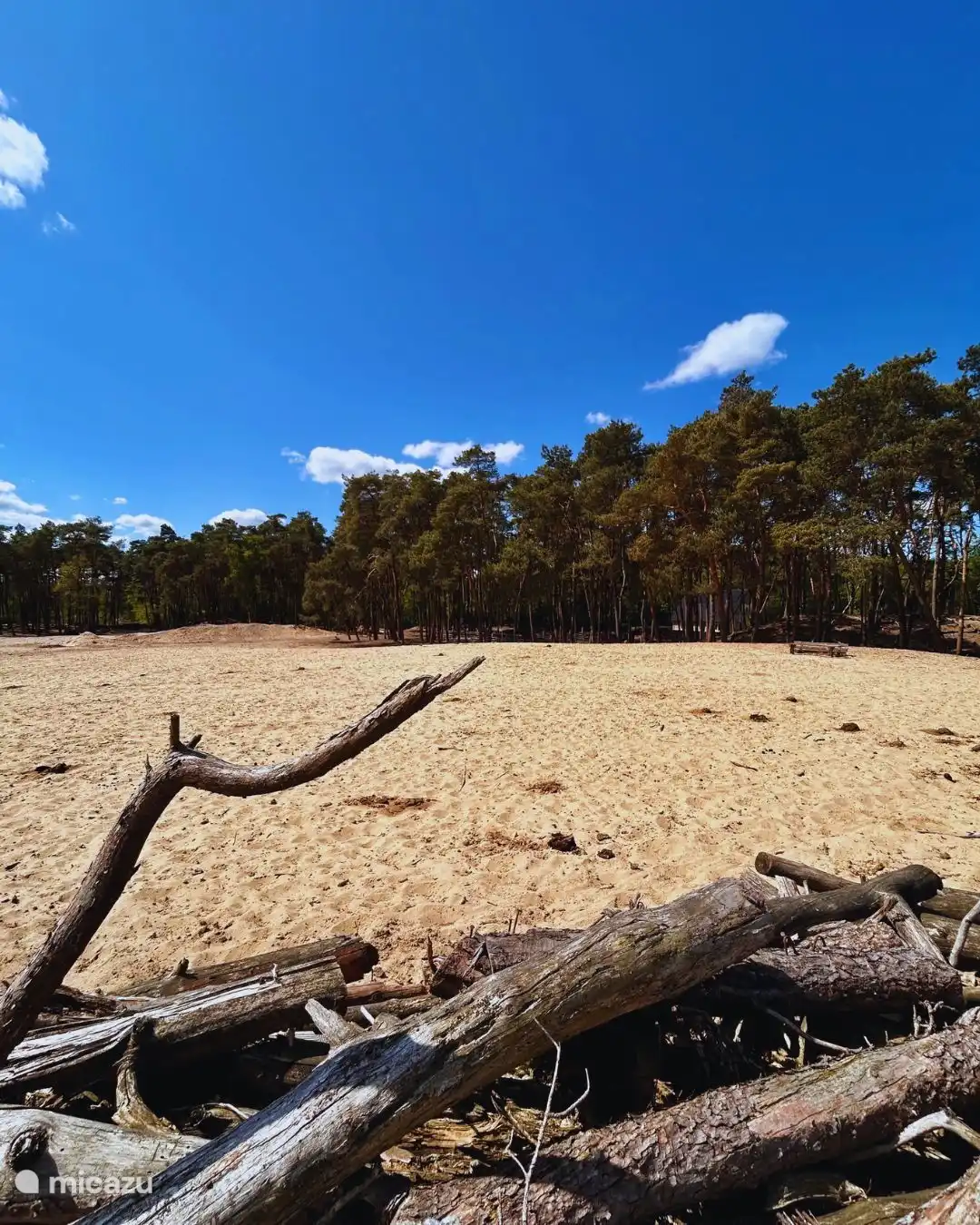 Sandverwehung De Haere zu Fuß erreichbar!!