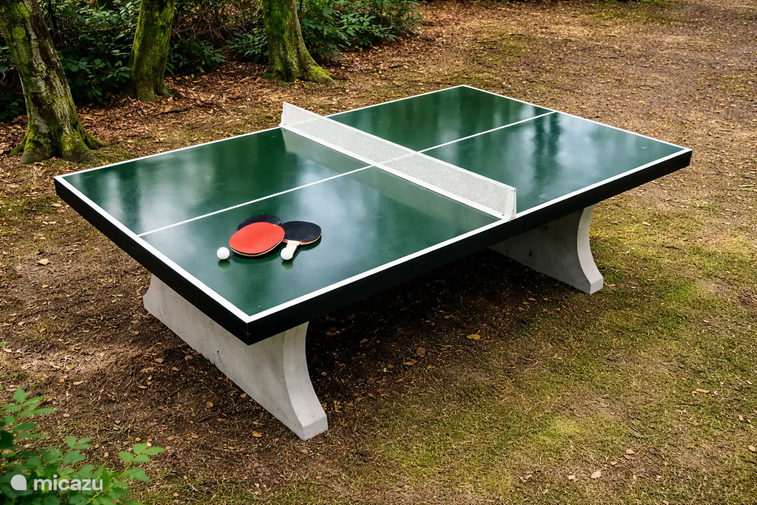 pingpong tafel op het park