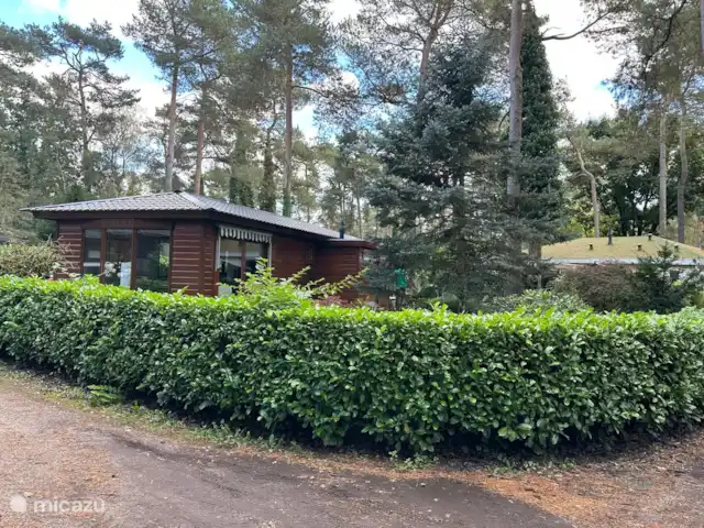 StayatSas Tiny House Pippa huren in Nederland, Gelderland, Doornspijk - chalet Het huis ligt op een groot perceel van 500 m2 met heel veel privacy