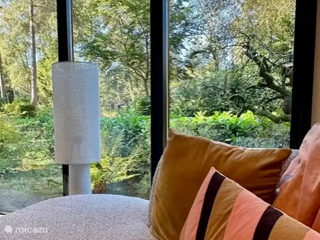 StayatSas Tiny House Pippa huren in Nederland, Gelderland, Doornspijk - chalet Uitzicht in de woonkamer