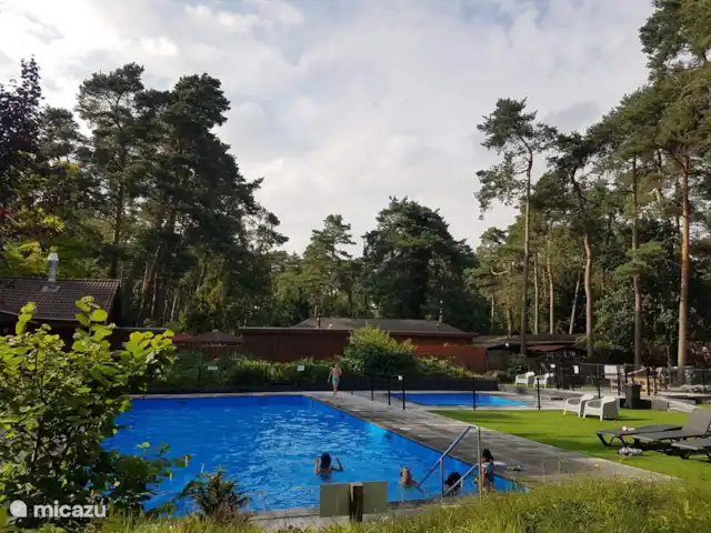 StayatSas Tiny House Pippa huren in Nederland, Gelderland, Doornspijk - chalet Heerlijk verwarmd zwembad midden tussen de bomen!