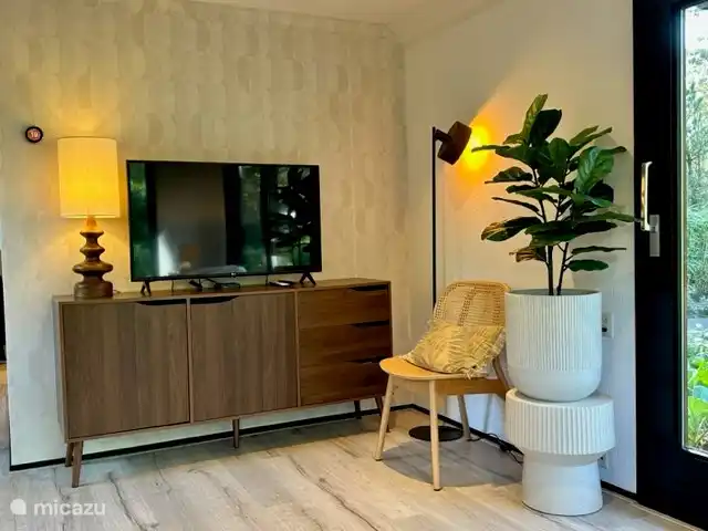 StayatSas Tiny House Pippa huren in Nederland, Gelderland, Doornspijk - chalet Grote Smart TV op het TV meubel waarin heel veel spelletjes en boekjes zitten