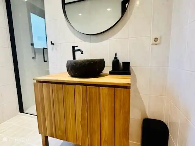 StayatSas Tiny House Pippa huren in Nederland, Gelderland, Doornspijk - chalet nieuwe badkamer voorzien van föhn en doucheschuim