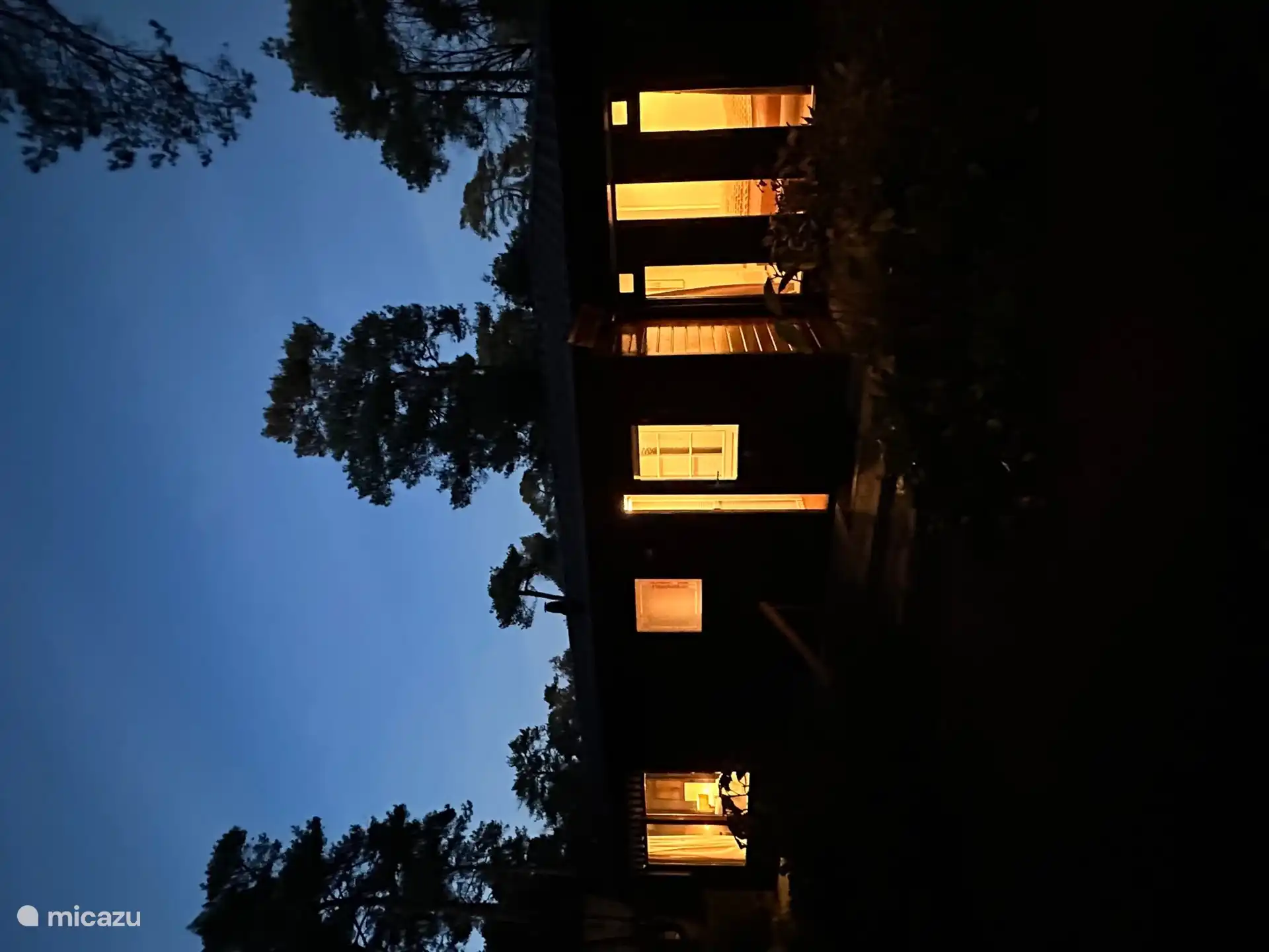 Abends zwischen den Bäumen