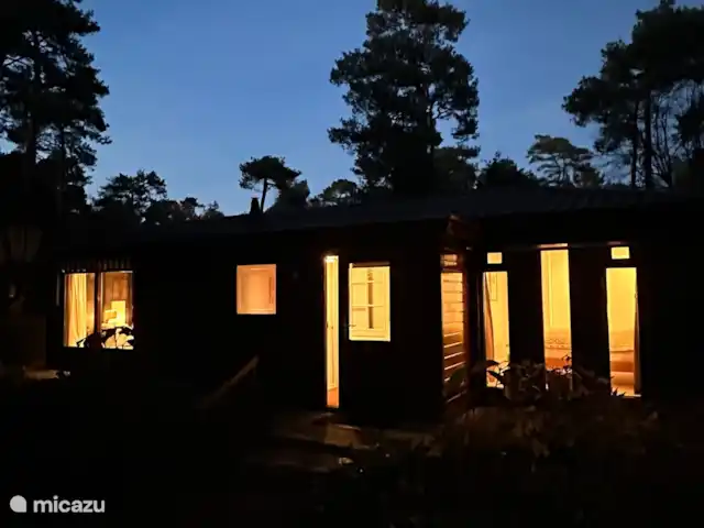 StayatSas Tiny House Pippa huren in Nederland, Gelderland, Doornspijk - chalet 's avonds tussen de bomen