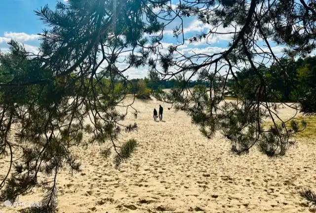 Einen 10-minütigen Spaziergang von der Hütte entfernt befindet sich die Sandverwehung de Haere in Doornspijk