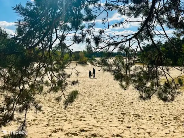 StayatSas Tiny House Pippa huren in Nederland, Gelderland, Doornspijk - chalet Op 10 minuten lopen van het huisje is de zandverstuiving de Haere in Doornspijk