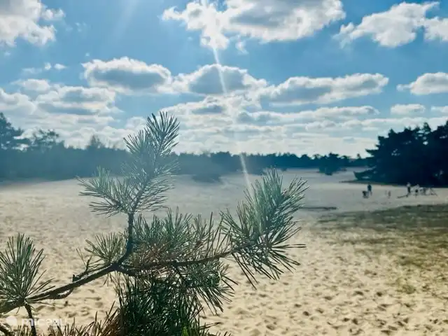 StayatSas Tiny House Pippa huren in Nederland, Gelderland, Doornspijk - chalet Op 10 minuten lopen van het huisje is de zandverstuiving de Haere in Doornspijk