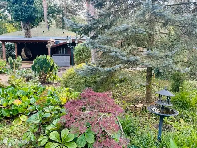 StayatSas Tiny House Pippa huren in Nederland, Gelderland, Doornspijk - chalet Het huisje is omgeven door een enorme bostuin