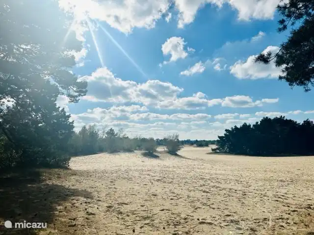 Einen 10-minütigen Spaziergang von der Hütte entfernt befindet sich die Sandverwehung de Haere in Doornspijk