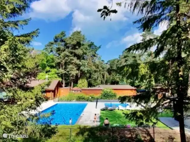 StayatSas Tiny House Pippa huren in Nederland, Gelderland, Doornspijk - chalet Er is een groot buiten zwembad op het park geopend vanaf mei tm september