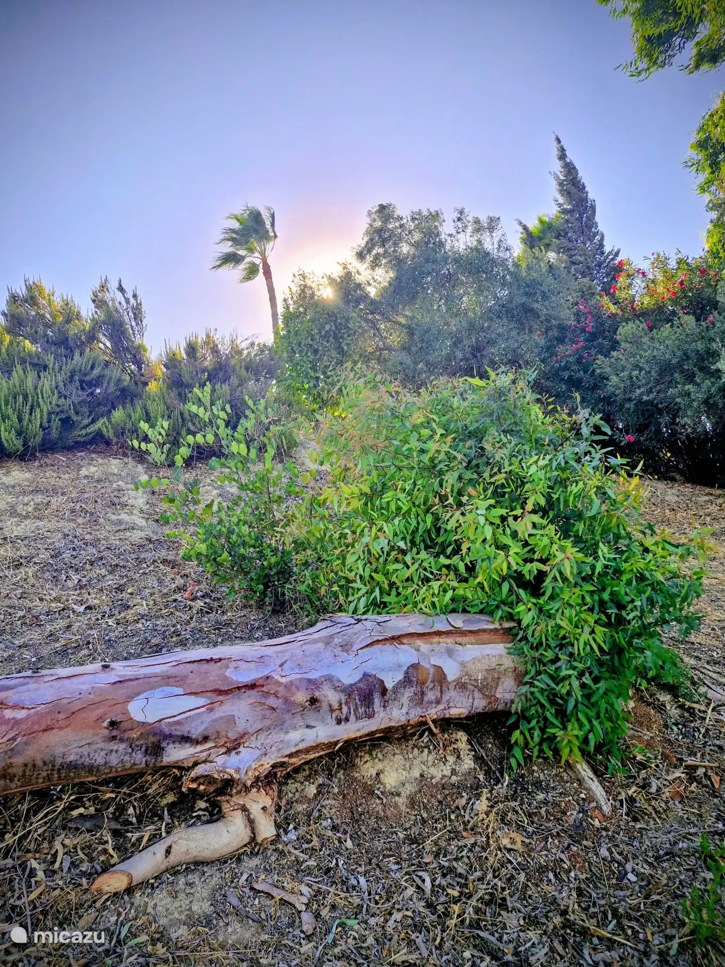 Die Natur in Casa Bellavista ist wunderschön!