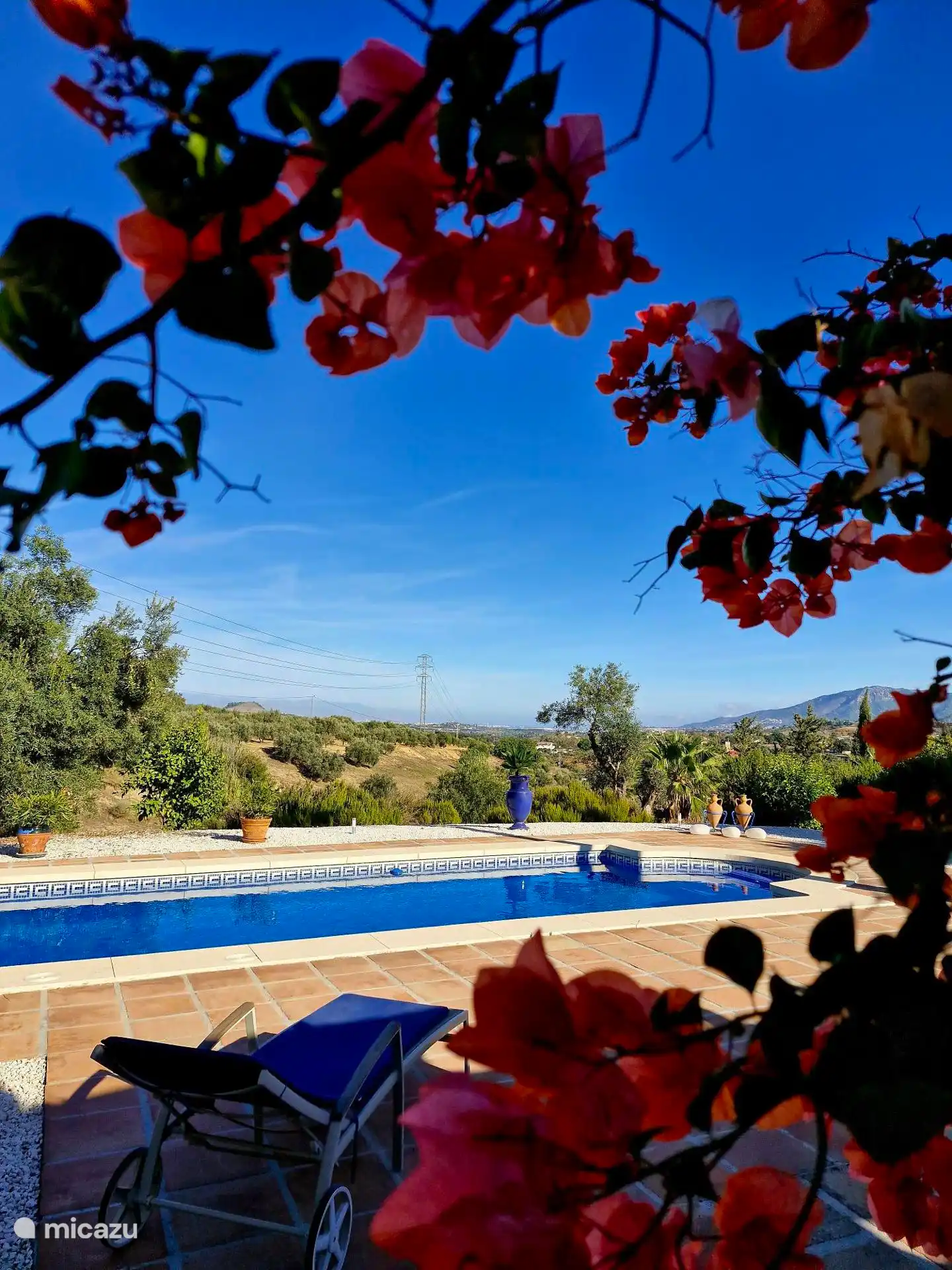 Durch ein Meer von Blumen glitzert unser Swimmingpool in der Sonne, ein farbenfroher Anblick bis hin zu kühlender Ruhe.