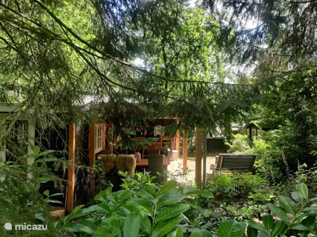 Location de Vacances Pays-Bas, Overijssel, Nutter, chalet - Chalet forestier de Tussentijd Location de Vacances Pays-Bas, Overijssel, Nutter, chalet - Chalet forestier de Tussentijd