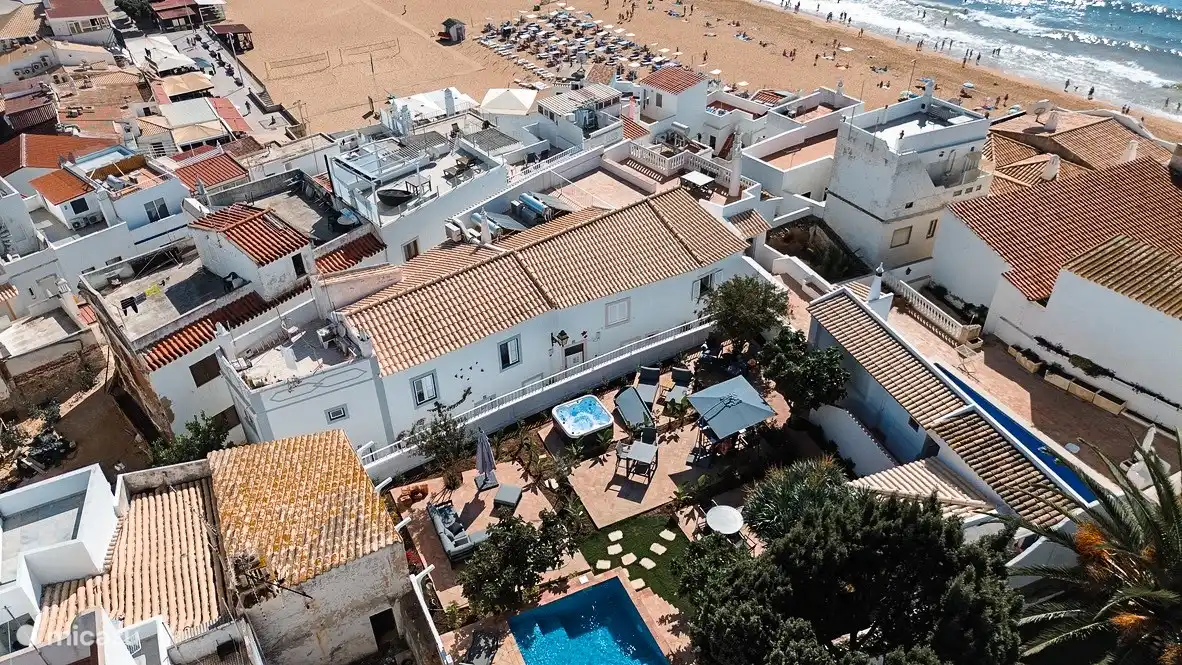 Vista de los pájaros