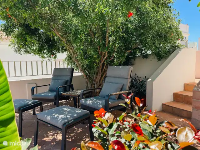 Location de Vacances Portugal, Algarve, Albufeira, appartement - Le vieux coin des pêcheurs - 14 Coin salon jardin