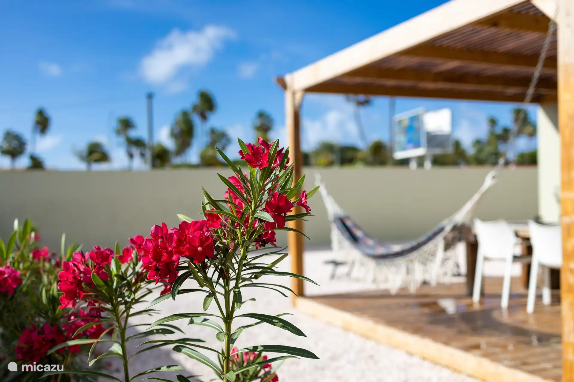 Pergola exterior view