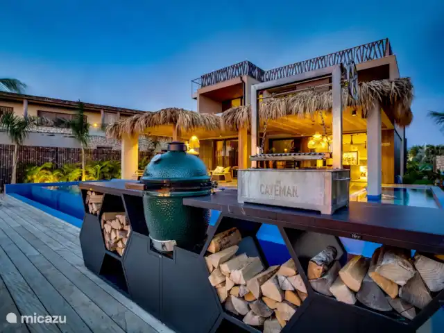 Sea Front Luxury Villa huren in Bonaire, Bonaire, Belnem - villa Green egg buitenkeuken