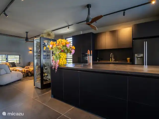 Sea Front Luxury Villa huren in Bonaire, Bonaire, Belnem - villa keuken
