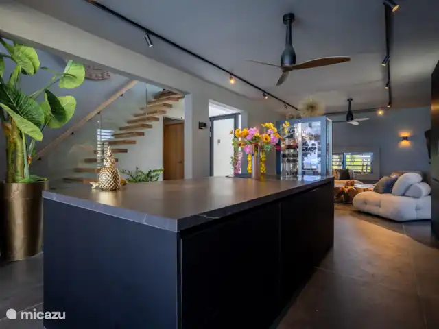 Sea Front Luxury Villa huren in Bonaire, Bonaire, Belnem - villa keuken