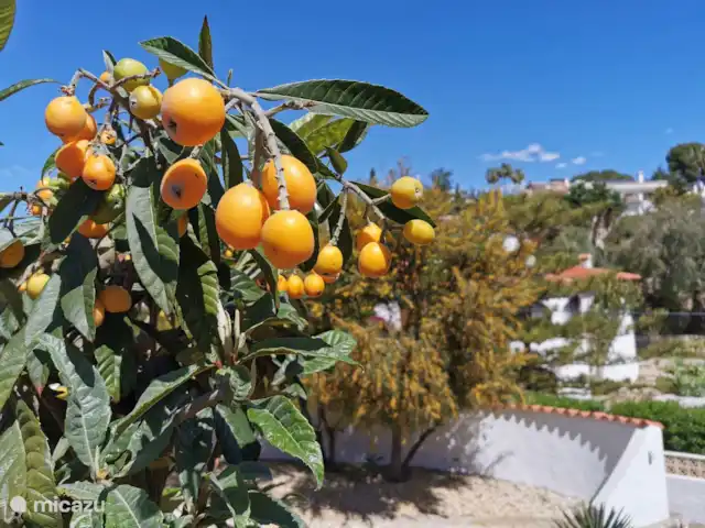 Casa Diana Benissa | Espagne, Costa Blanca, Benissa - villa