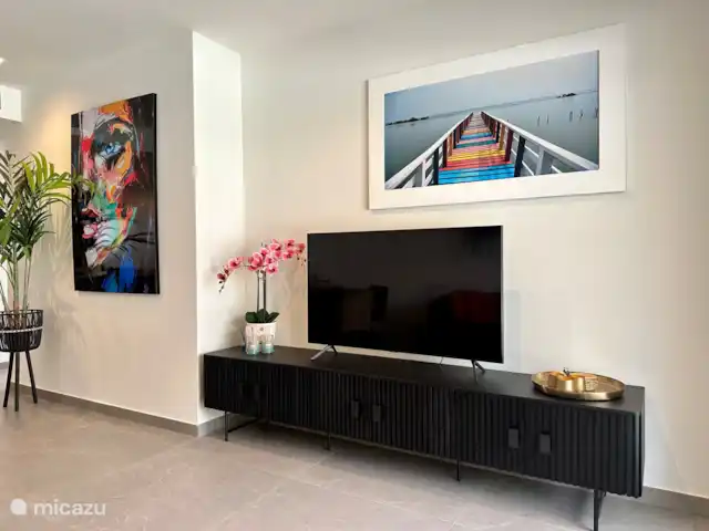 Location de Vacances Espagne, Costa Blanca, Orihuela Costa, appartement - Appartement design avec méga terrasse TÉLÉ
