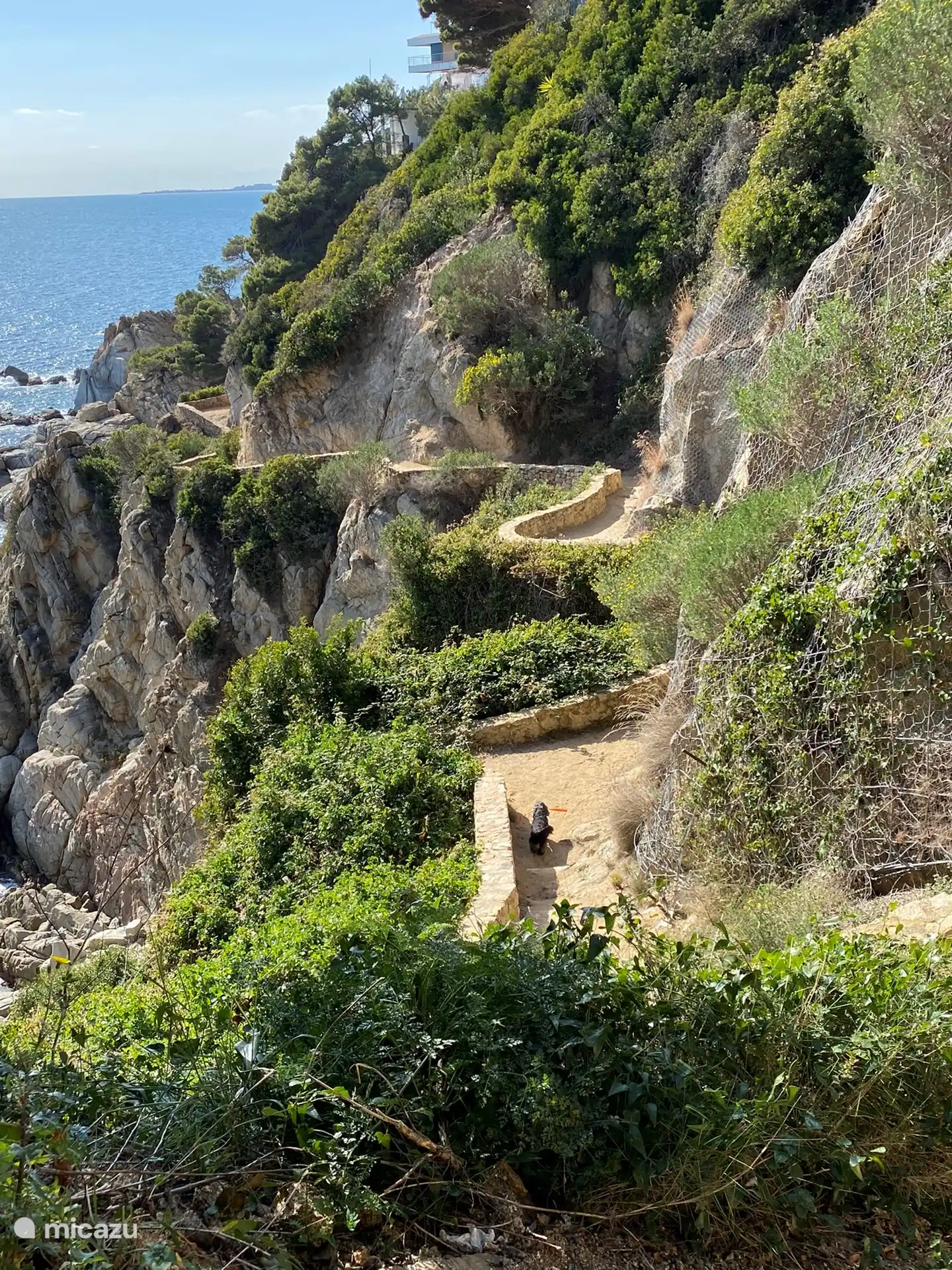 De beaux sentiers de randonnée dans la région