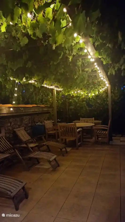 Terrace under the grapes in the evening light