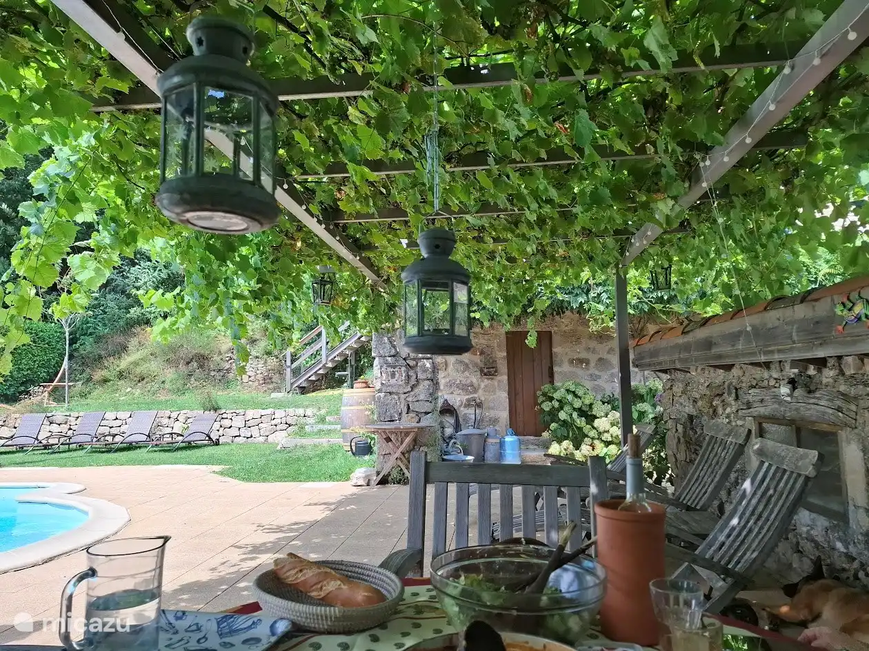 Terrace under the grapes