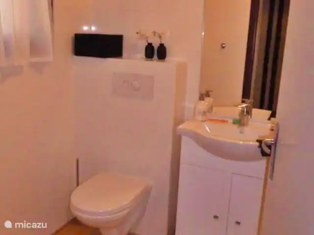 Maison de vacances Le Chat Maison 175 | France, Charente, Écuras - bungalow La salle de bain avec toilettes suspendues et douche