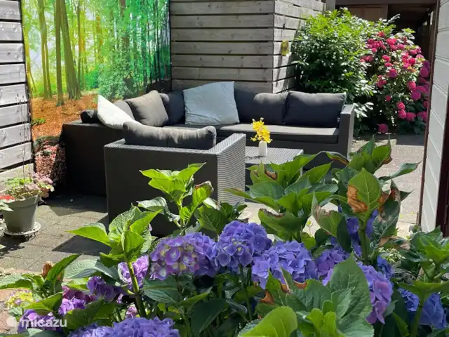 Chalet avec jardin incl vélos Veluwe | Pays-Bas, Gueldre, Wells - tiny house Chalet avec jardin incl vélos Veluwe | Pays-Bas, Gueldre, Wells - tiny house