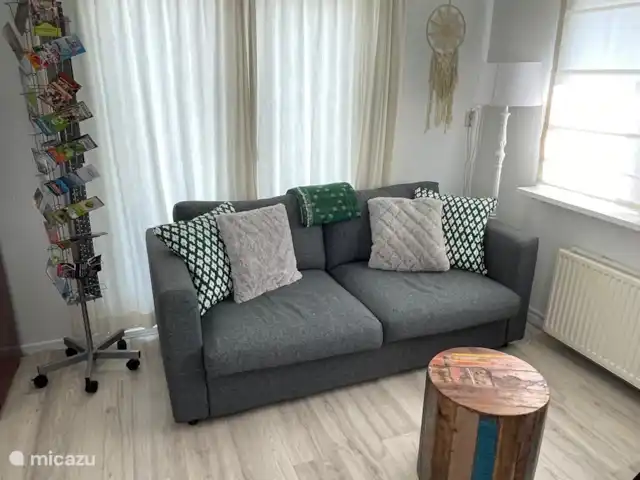 Chalet avec jardin incl vélos Veluwe | Pays-Bas, Gueldre, Wells - tiny house Canapé 2 personnes (couchage)