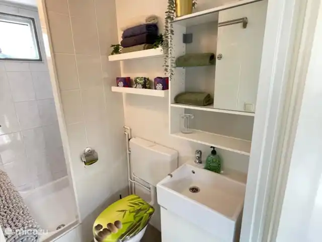Chalet avec jardin incl vélos Veluwe | Pays-Bas, Gueldre, Wells - tiny house Salle de Bains