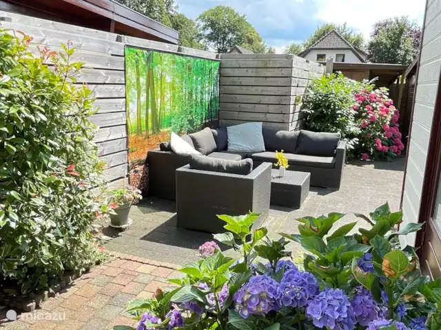 Chalet avec jardin incl vélos Veluwe | Pays-Bas, Gueldre, Wells - tiny house Jardin clôturé