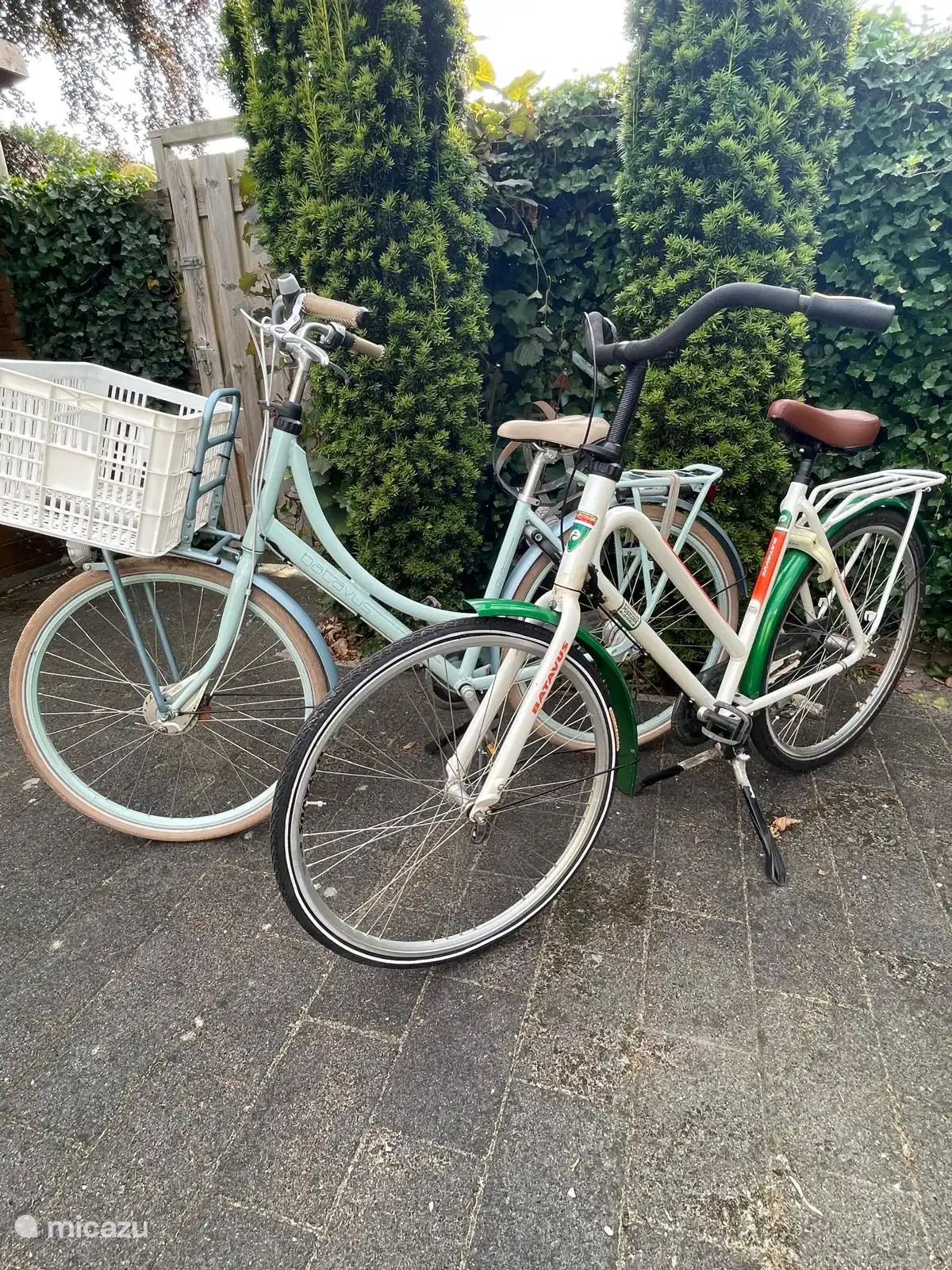 2 Fahrräder für Ihre Bequemlichkeit