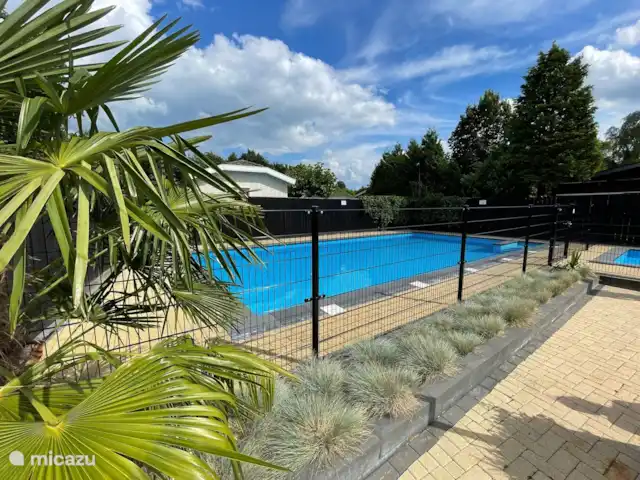 Chalet avec jardin incl vélos Veluwe | Pays-Bas, Gueldre, Wells - tiny house Piscine commune dans le parc, ouverte uniquement pendant les mois d’été
