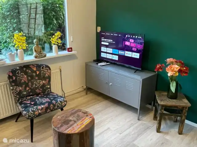 Chalet avec jardin incl vélos Veluwe | Pays-Bas, Gueldre, Wells - tiny house Smart TV avec chaînes néerlandaises