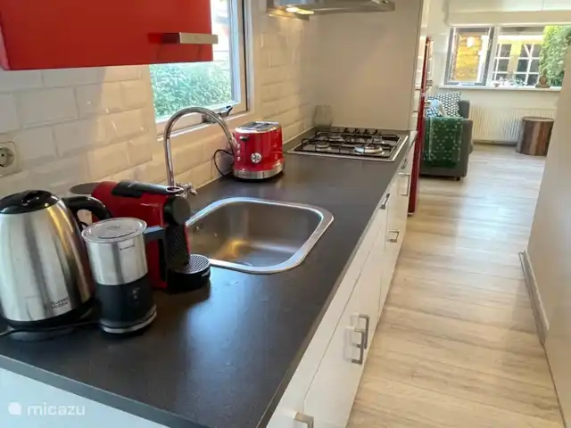 Chalet avec jardin incl vélos Veluwe | Pays-Bas, Gueldre, Wells - tiny house Cuisine