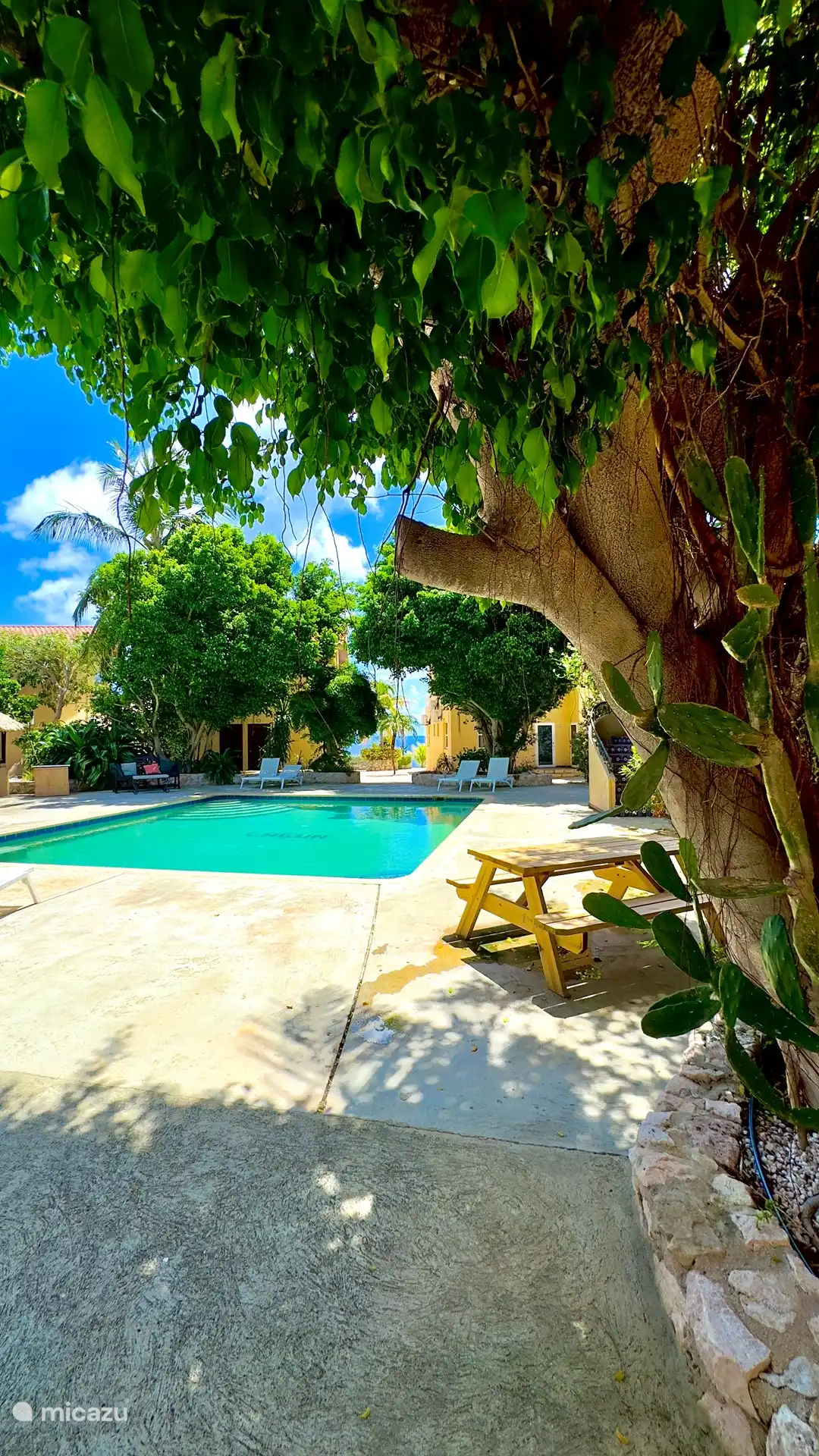 Schwimmbad des Resorts