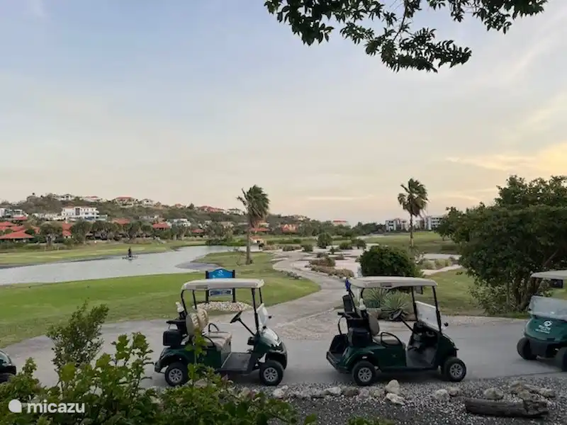 Golfbaan