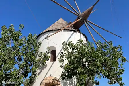 Alicante, Murcie, Carthagène, Mazarón, Abanilla, Rio Seguro Bullas