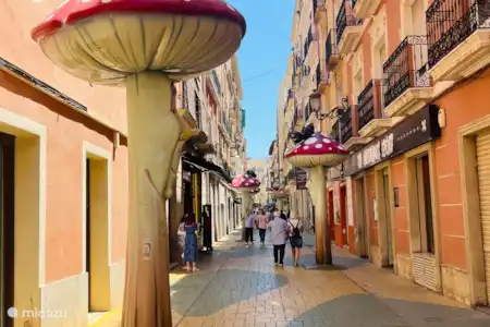Alicante, Murcie, Carthagène, Mazarón, Abanilla, Rio Seguro Bullas
