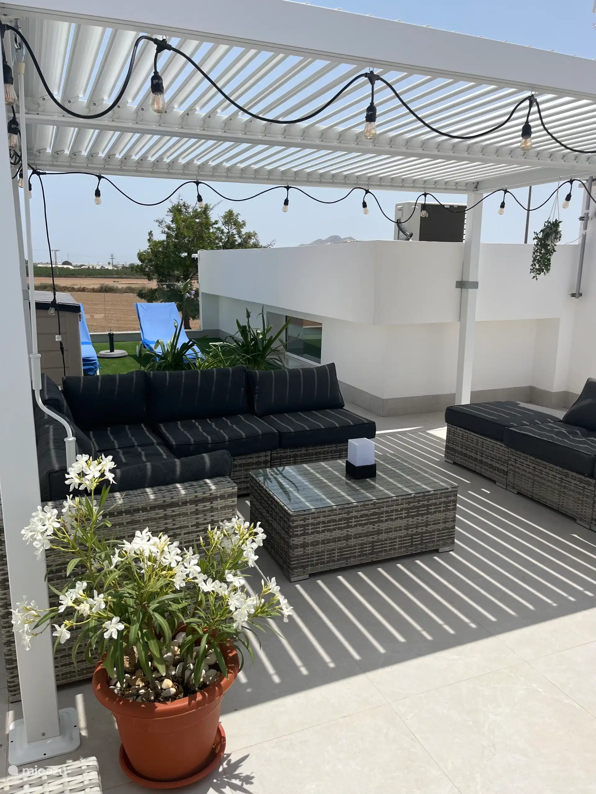 The solarium has been given some planting and is becoming more and more cozy (May 2025)