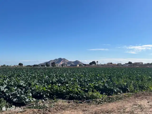 villa huren in Spanje, Costa Cálida, Balsicas – Casa JaJo Uitzicht vanuit het Casa JaJo