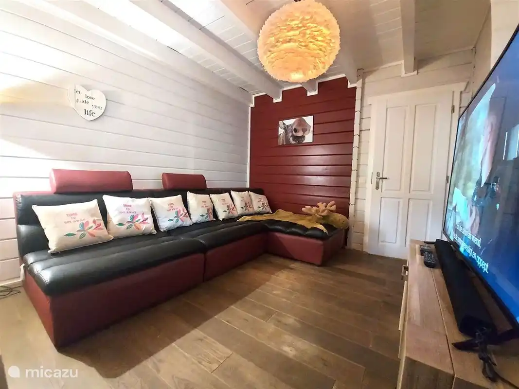 Salon d’ambiance avec télévision