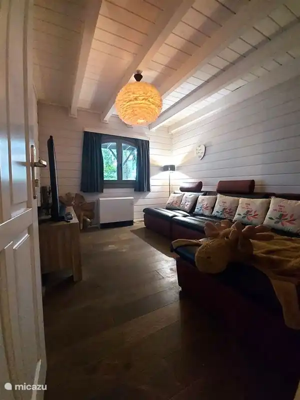 Salon d’ambiance avec télévision