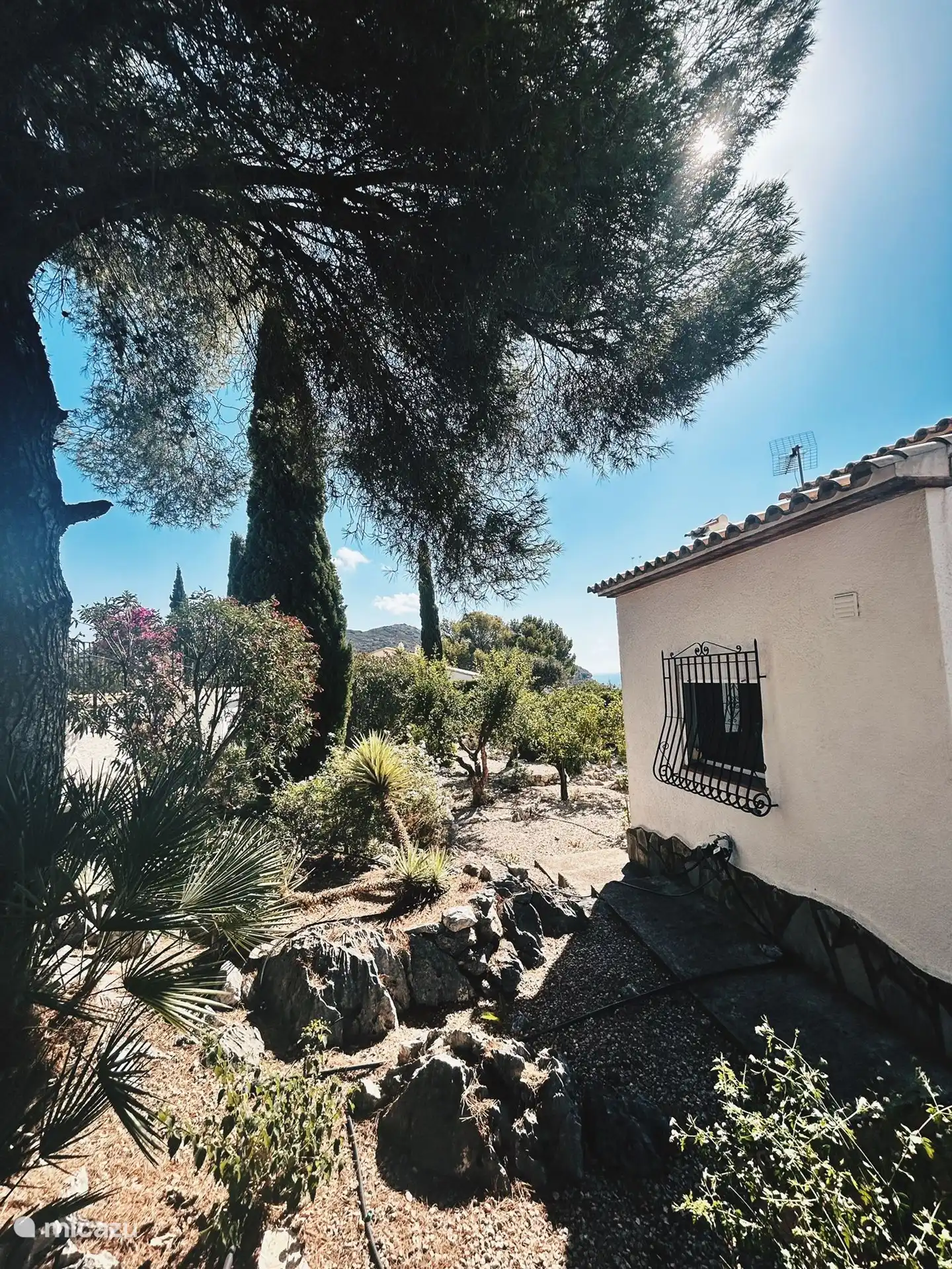 Garten von der Rückseite des Hauses aus zugänglich