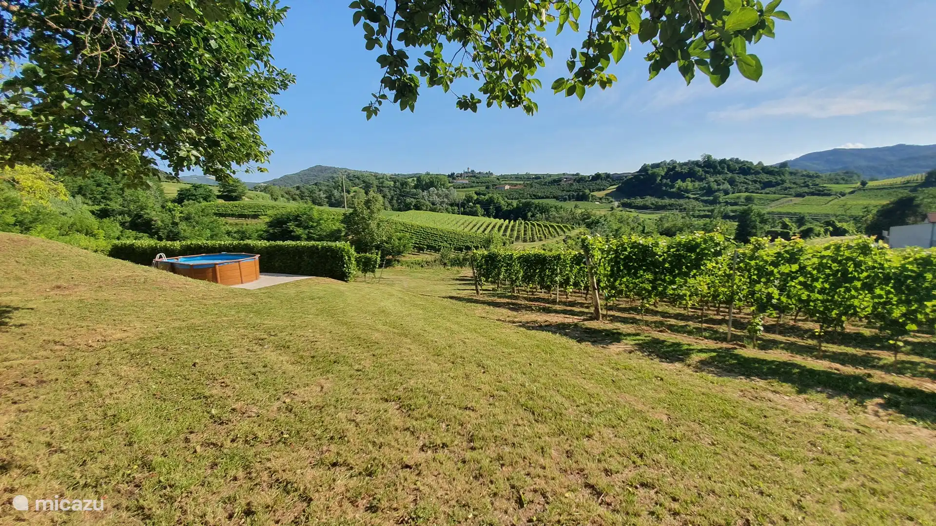 Visión general y vista. Las colinas y los viñedos fluyen suavemente entre sí. 